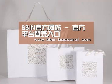 项目名称十一