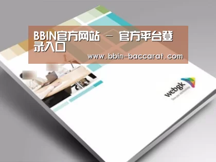项目名称九