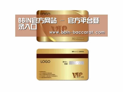 项目名称三