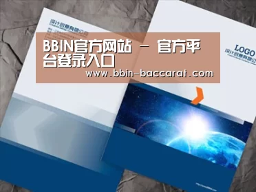项目名称十