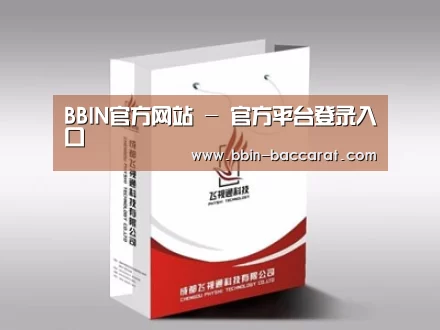 项目名称十三