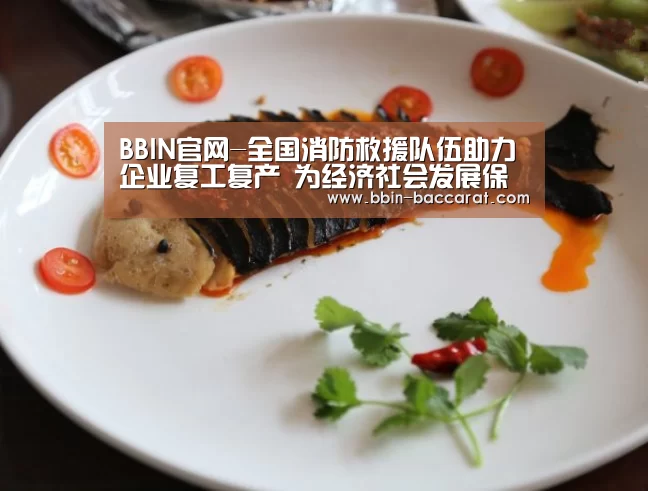 BBIN官网-全国消防救援队伍助力企业复工复产 为经济社会发展保驾护航(图3) BBIN娱乐城