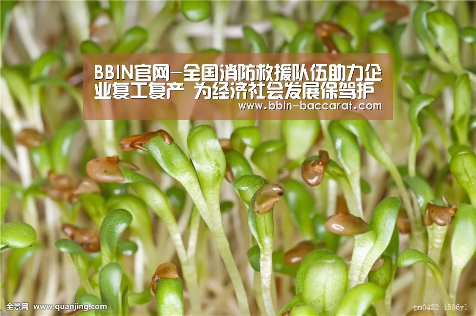 BBIN官网-全国消防救援队伍助力企业复工复产 为经济社会发展保驾护航(图2) BBIN入口