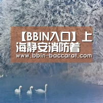 【BBIN入口】上海静安消防着力破解电动自行车违规停放充电整治难题(图1) BBIN娱乐城