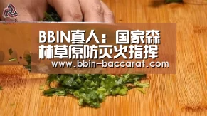 BBIN真人:国家森林草原防灭火指挥部部署夏季雷击火灾防控工作(图2) BBIN真人