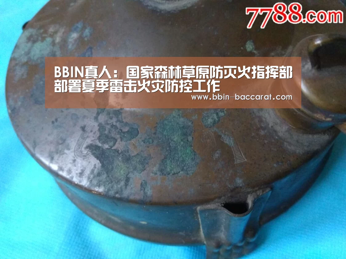 BBIN真人:国家森林草原防灭火指挥部部署夏季雷击火灾防控工作(图3) BBIN官网