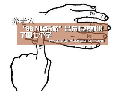 BBIN官网