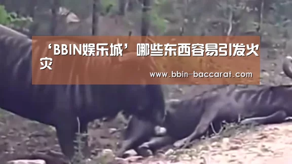 ‘BBIN娱乐城’哪些东西容易引发火灾(图2) BBIN真人