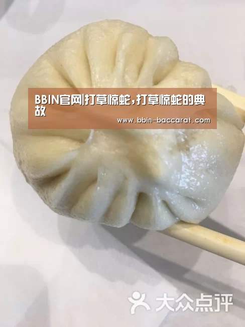 BBIN入口