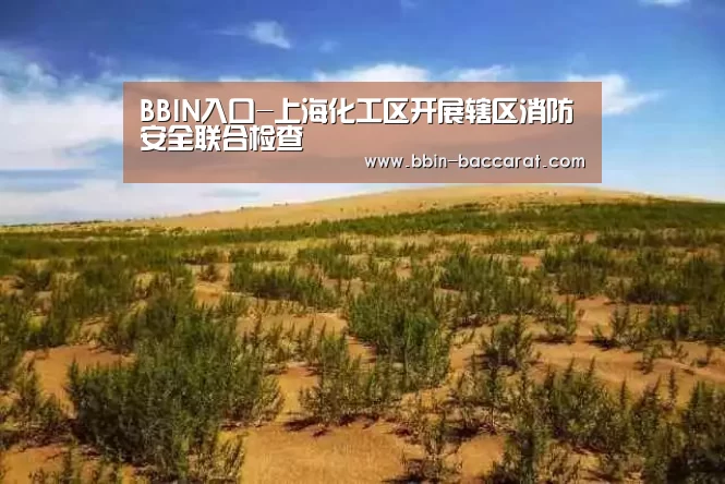 BBIN官网