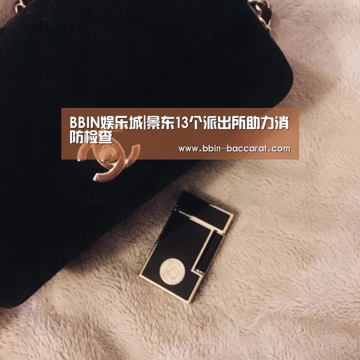 BBIN娱乐城|景东13个派出所助力消防检查(图1) BBIN官网